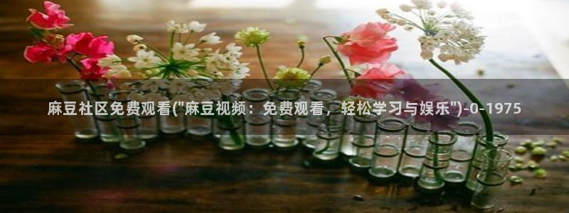 麻豆播放