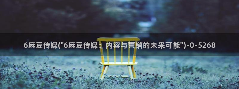 中文麻豆专区：6麻豆传媒(\