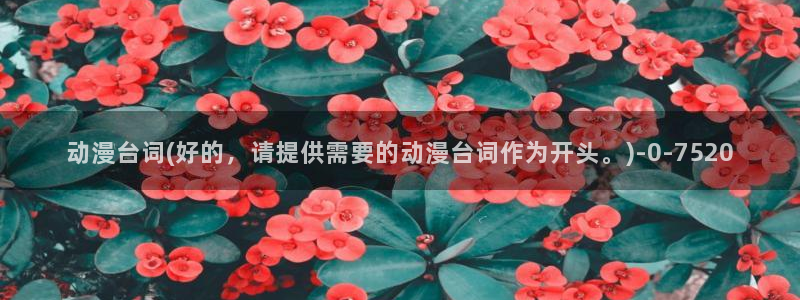 动漫小说