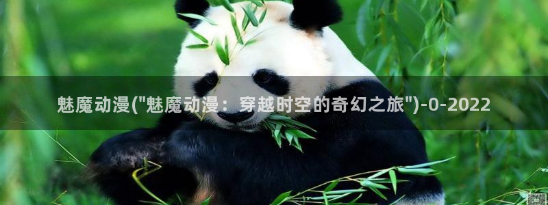 奇奇动漫网