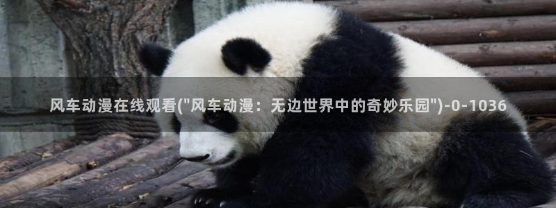 七宗罪动漫：风车动漫在线观看(\