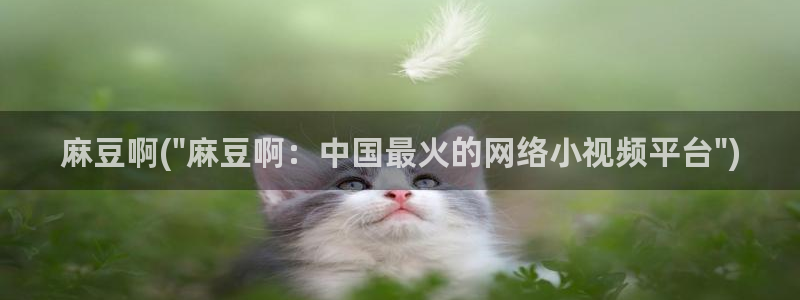 av麻豆专区：麻豆啊(\