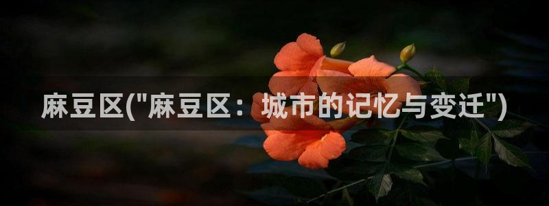 麻豆精品社区：麻豆区(\