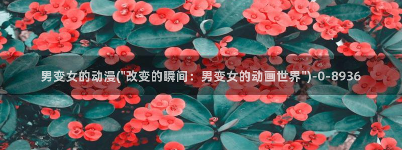 同人动漫