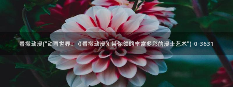 热血动漫
